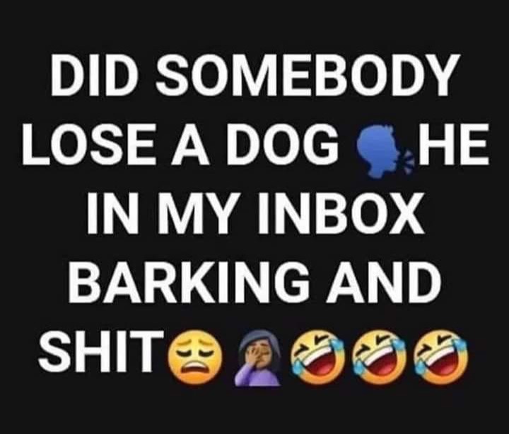@Ashley King