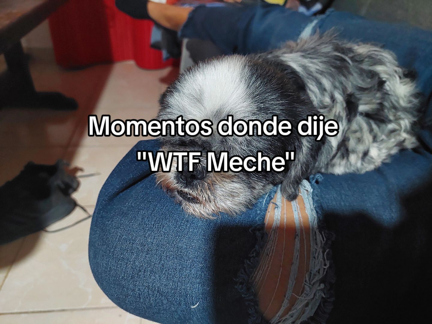 @Dany ♡