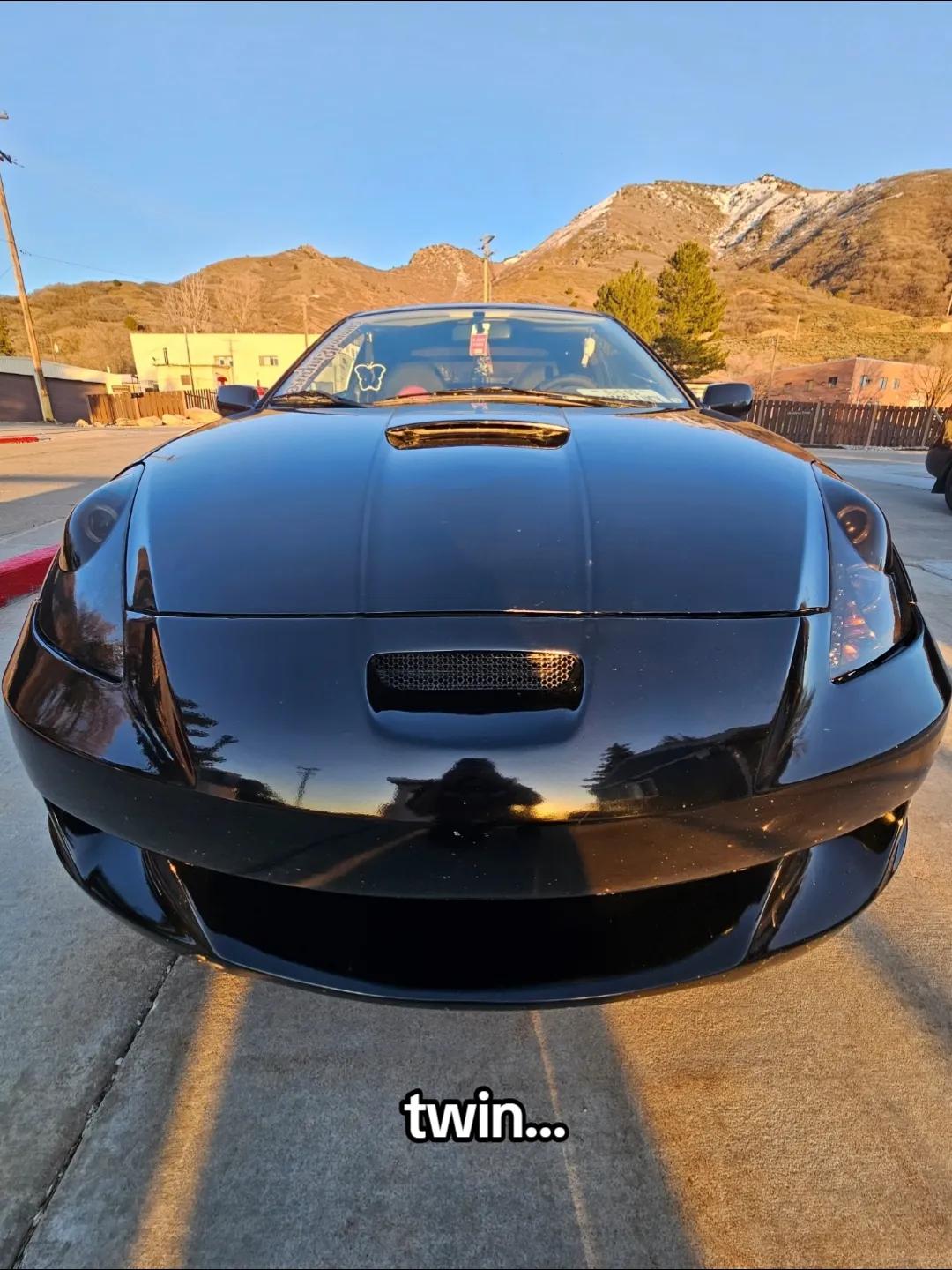 @harley 🦖