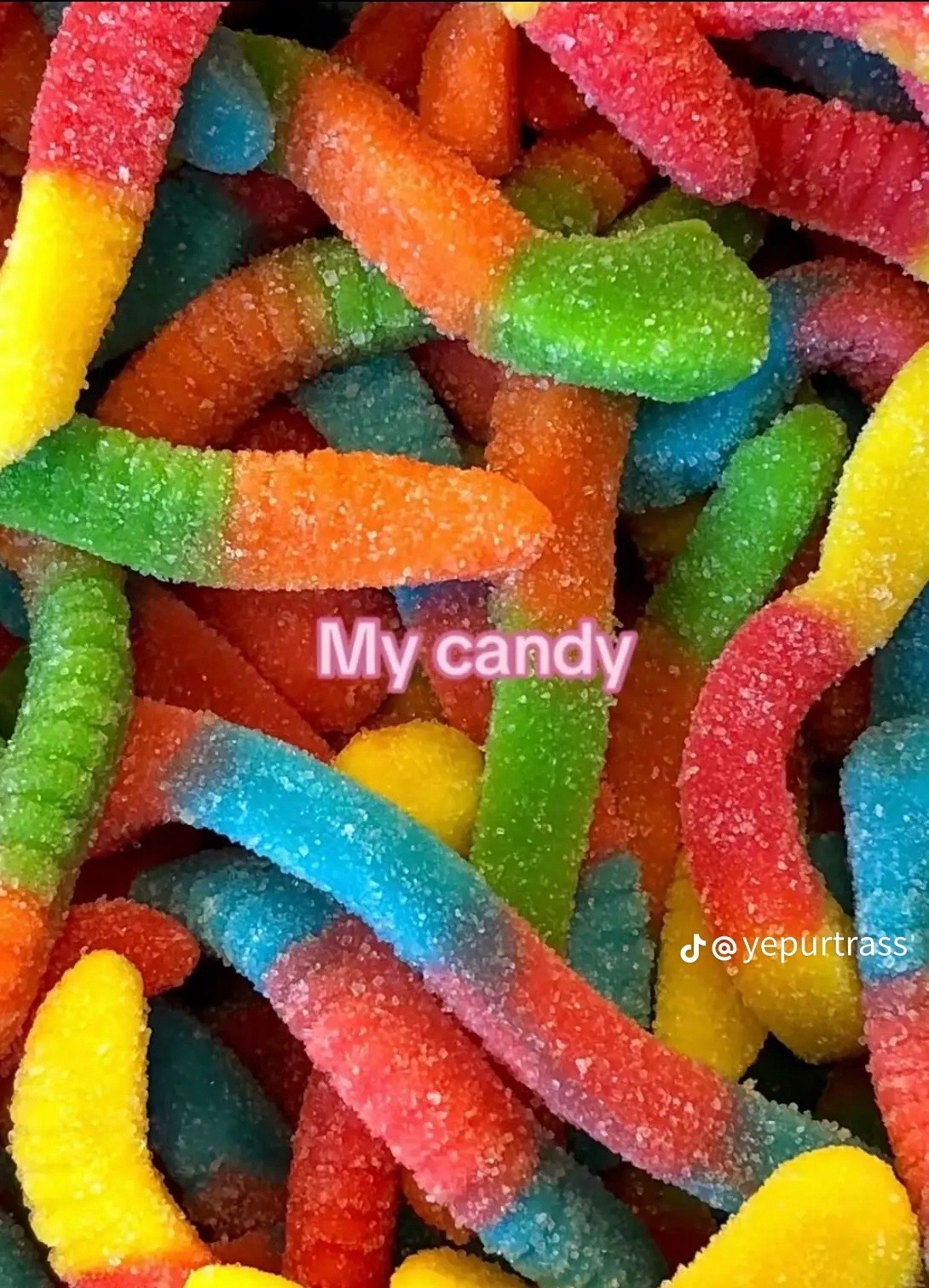 @maddie.tiller
