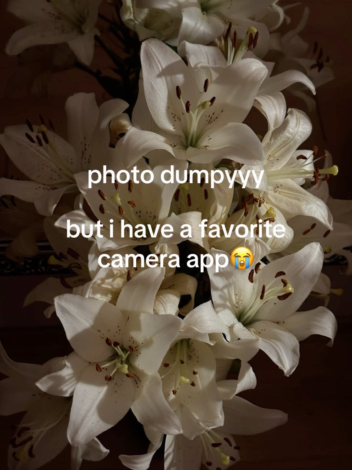 @gabby
