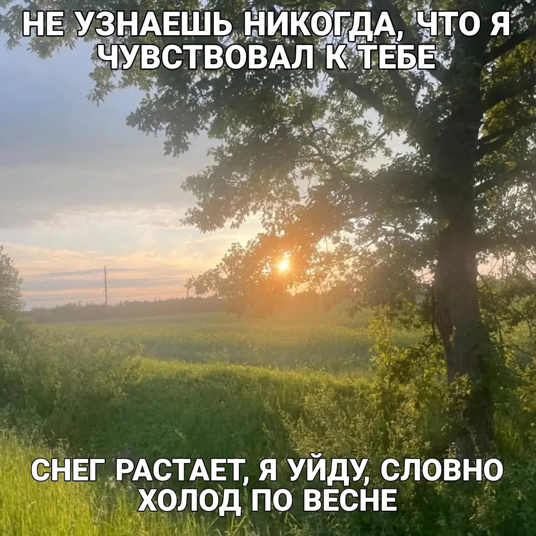 @дочь дестиэлей [R+E]