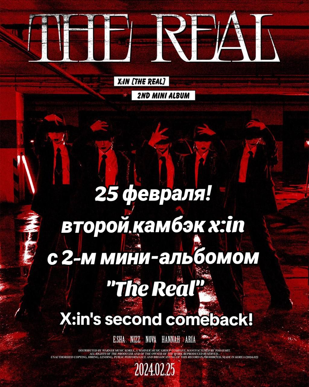 @xinlly