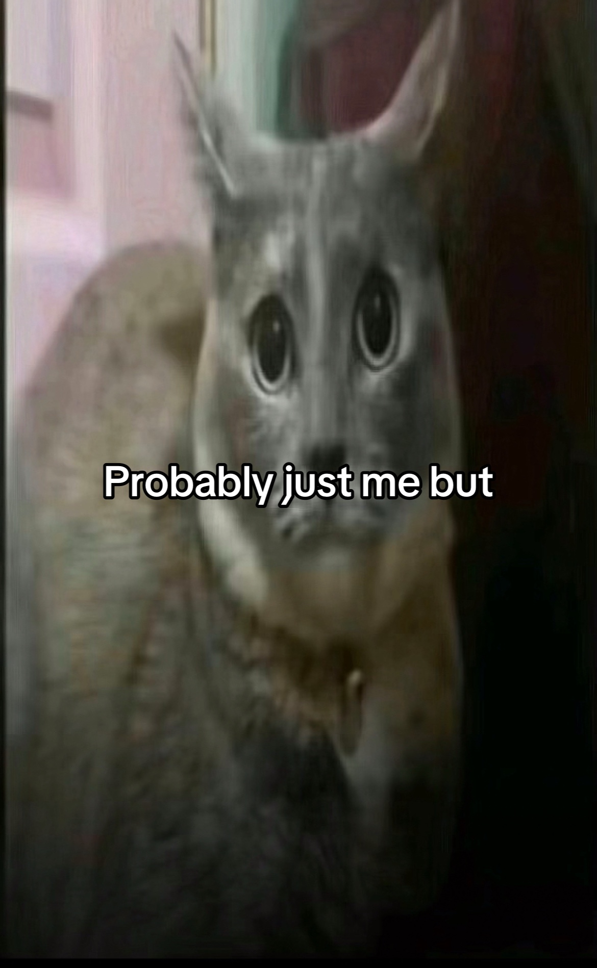@Jazzhands