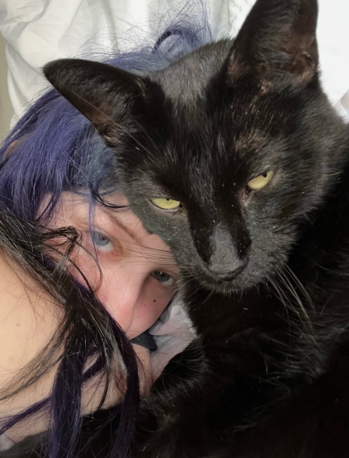 @kat