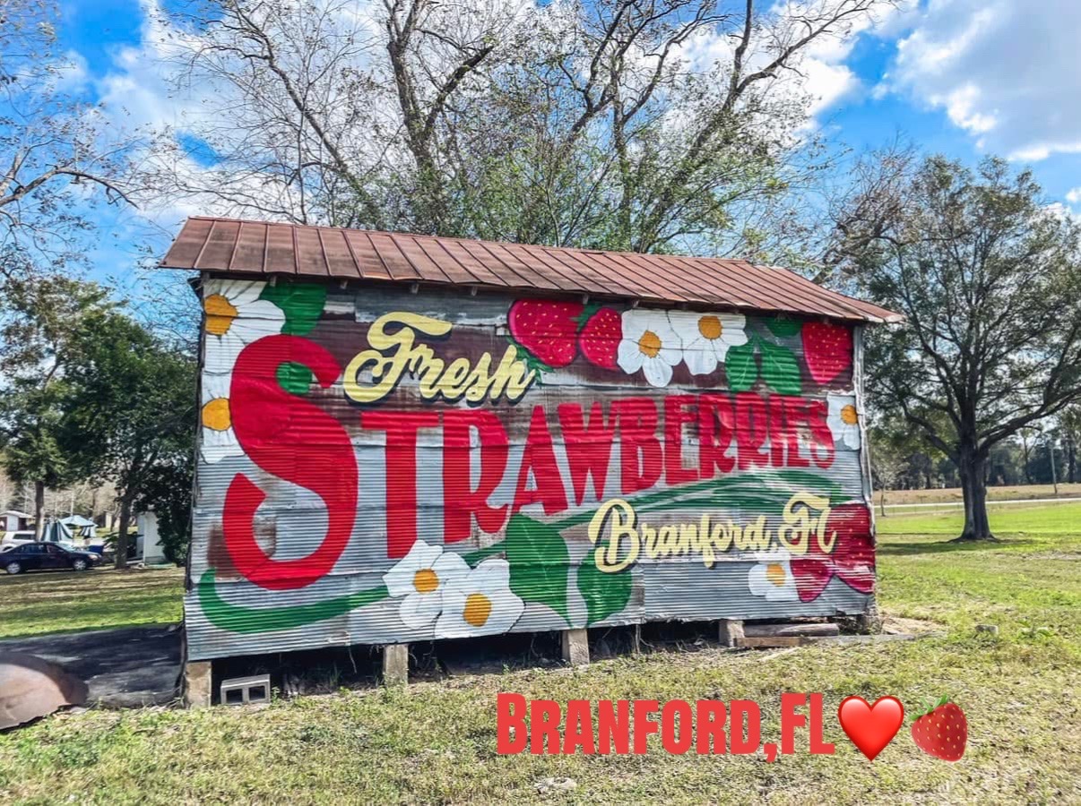 @Branford Farm Stand☀️