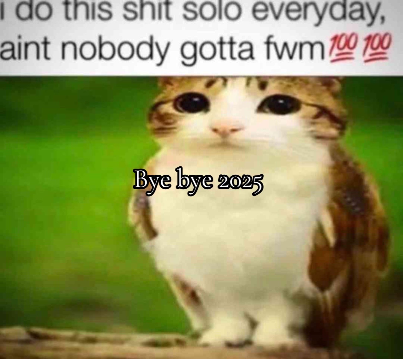 @๐๐๐๐ท๐ฐ๐ฎ๐๐