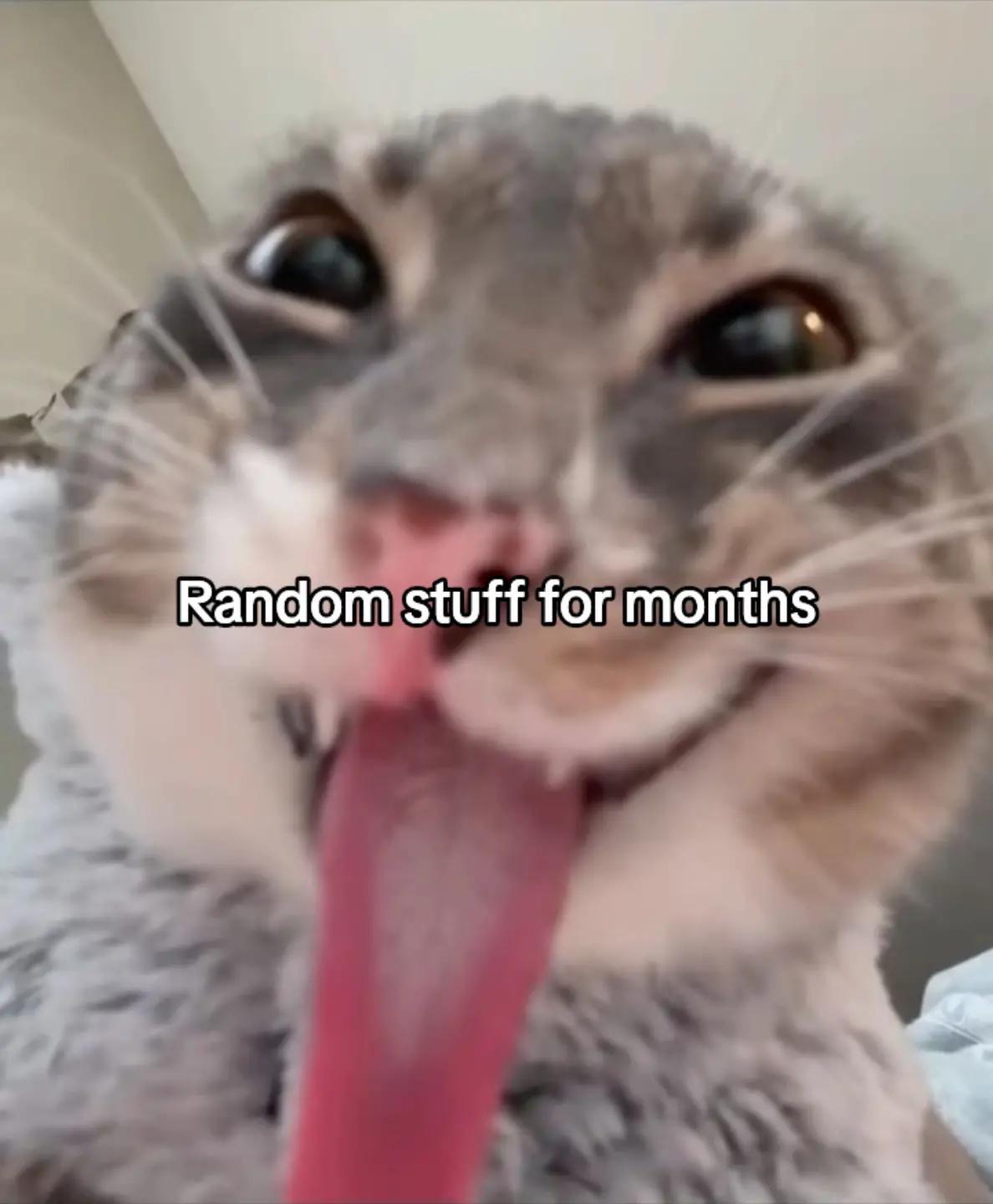 @cottoncandie