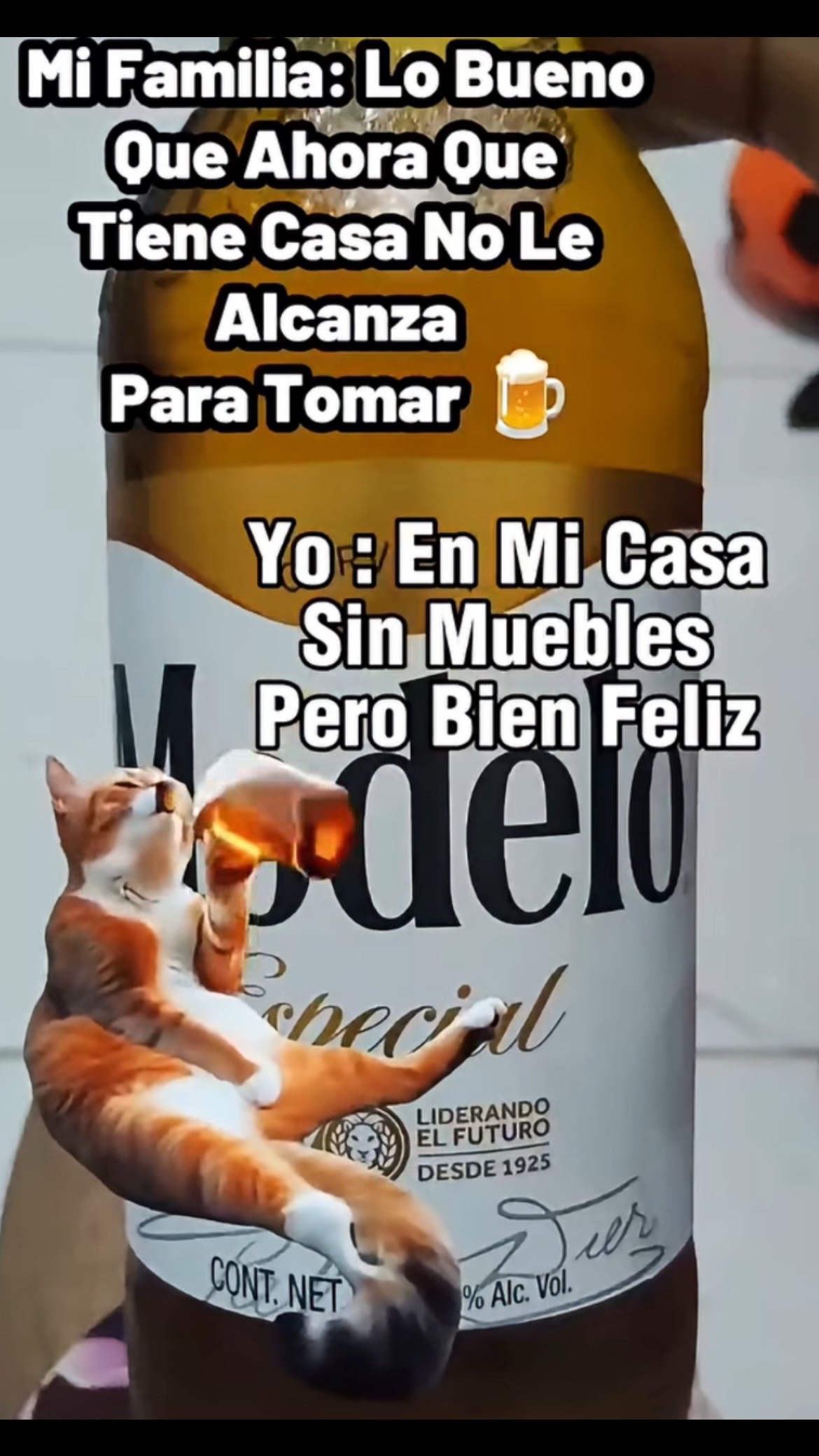 @Pedro Cruz