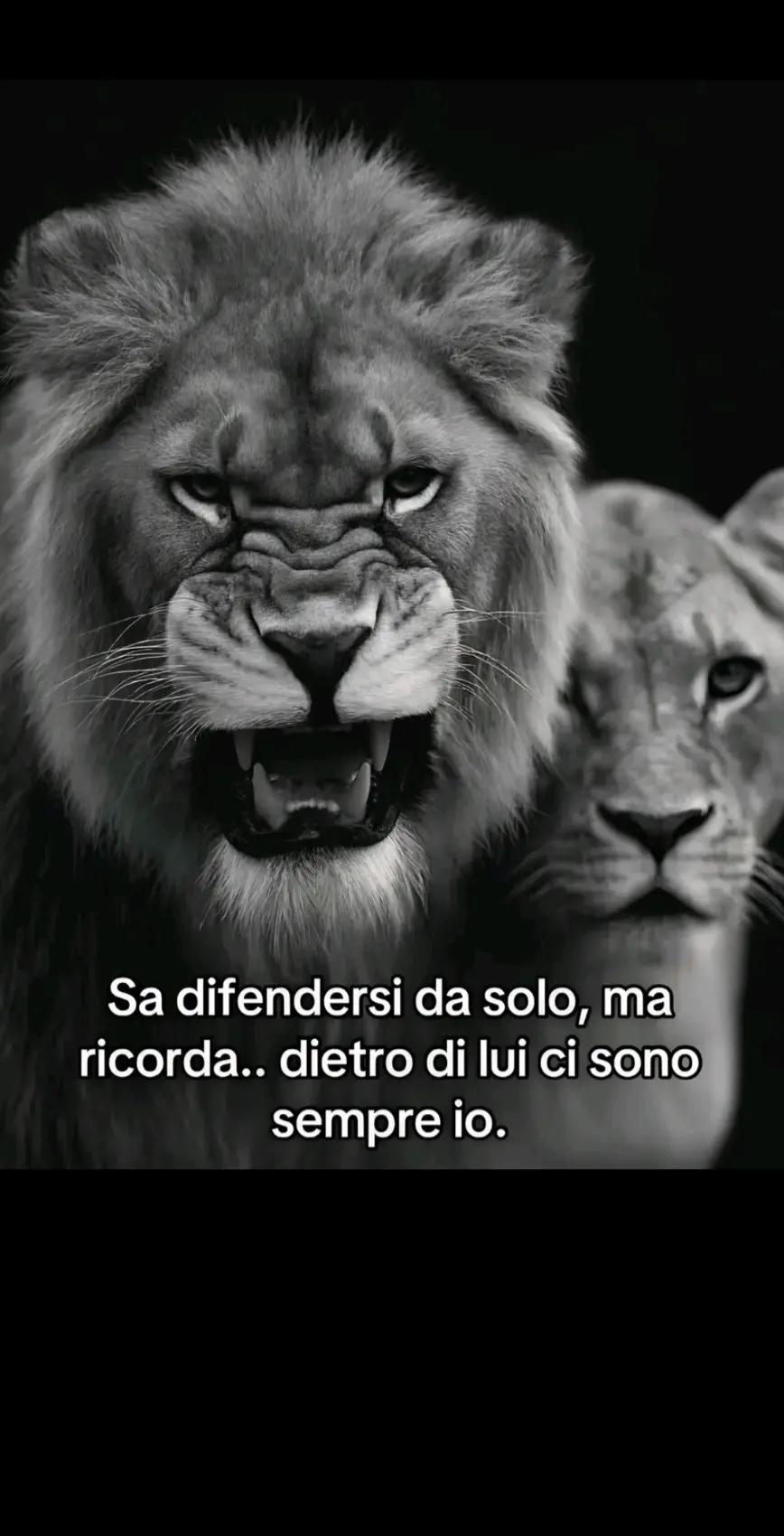 @Marianna 🤍