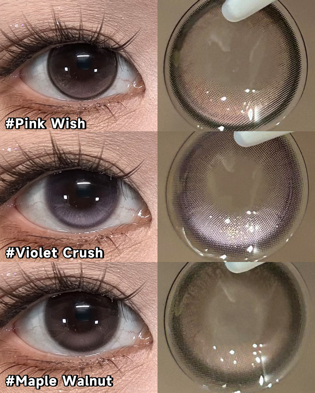 @sigocontacts_official