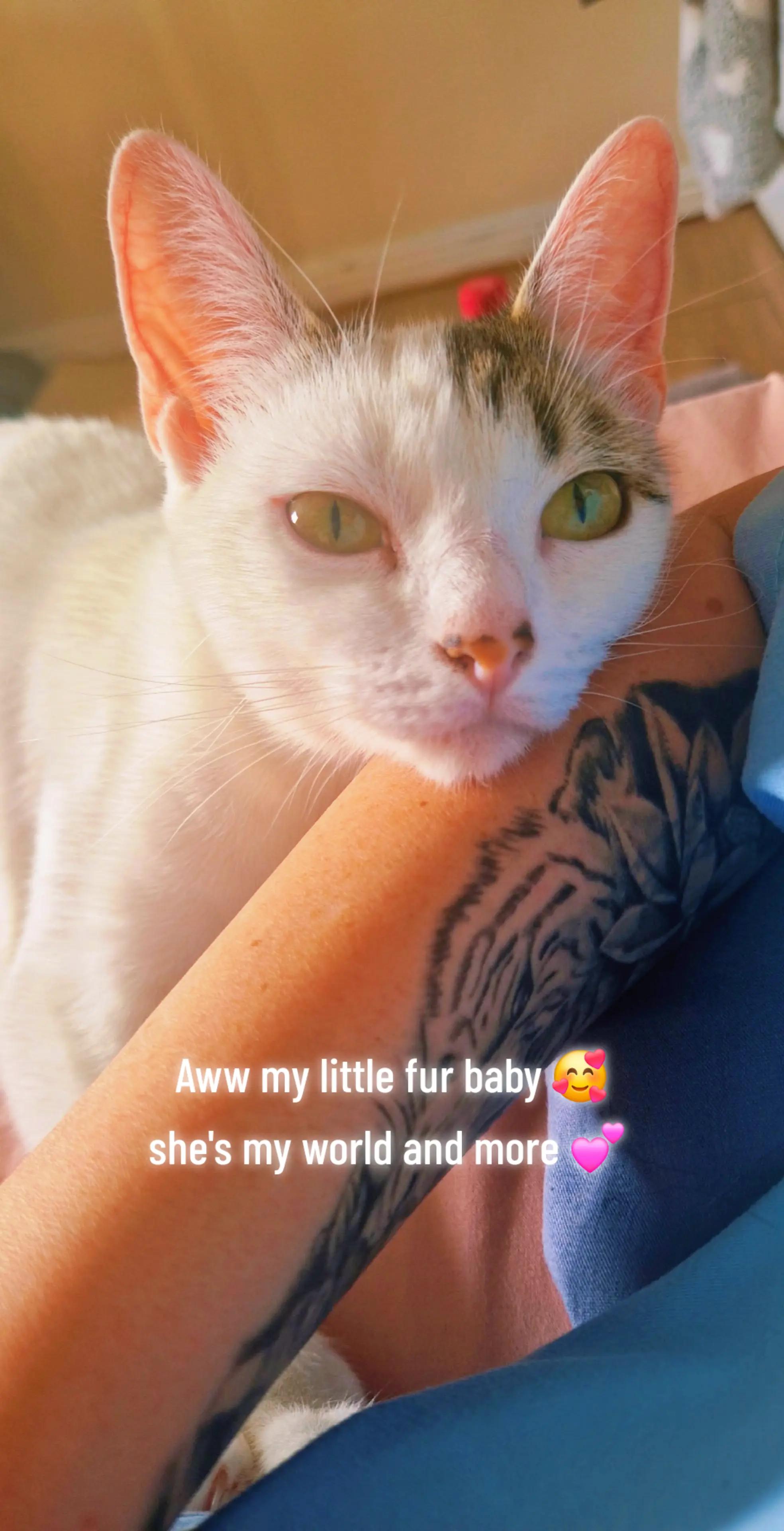 @Aimz 🥰