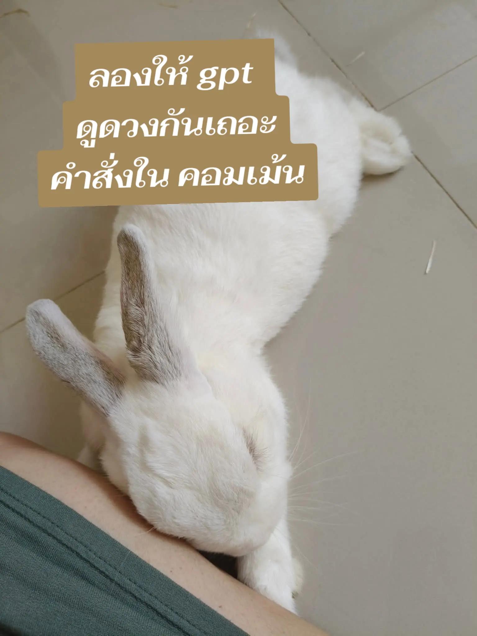 @nam ninee