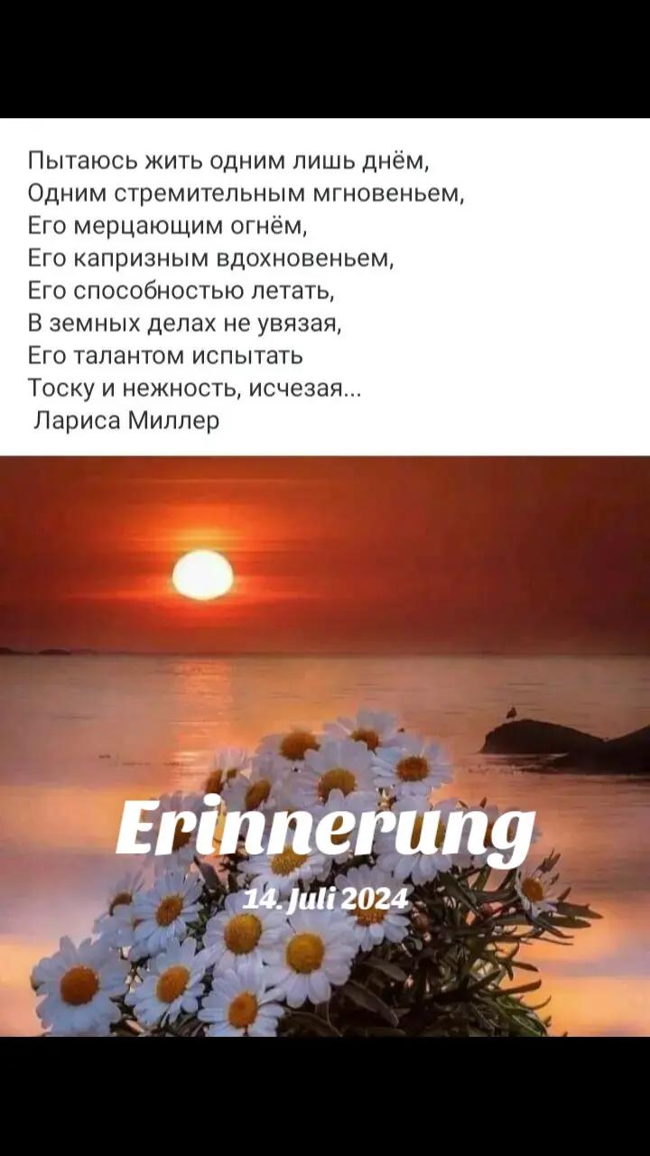 @Elena 🌸