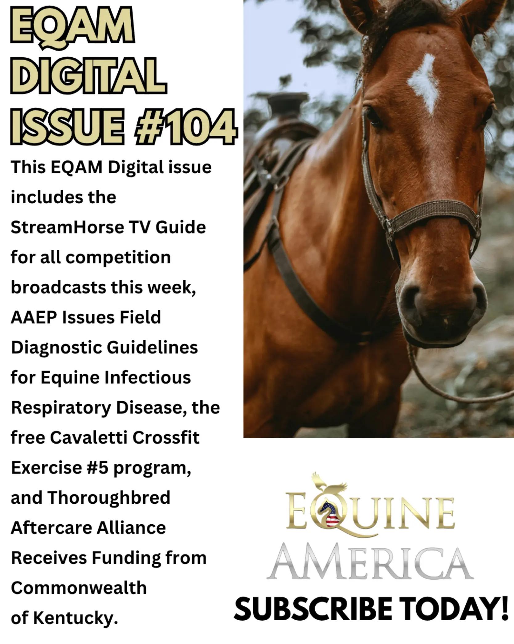 @streamhorse