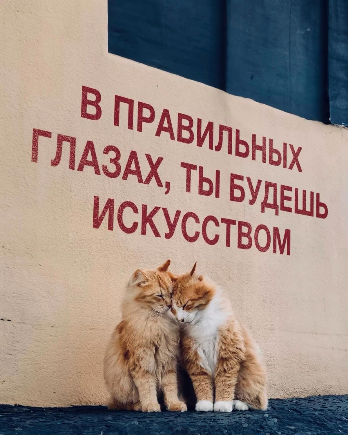 @KLEO