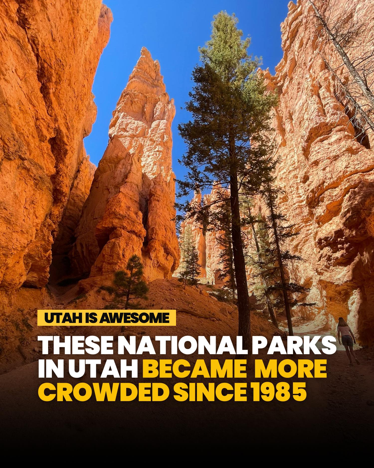 @Utah is Awesome