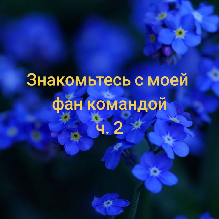@🩵⭐Гена_мой_парень⭐🩵