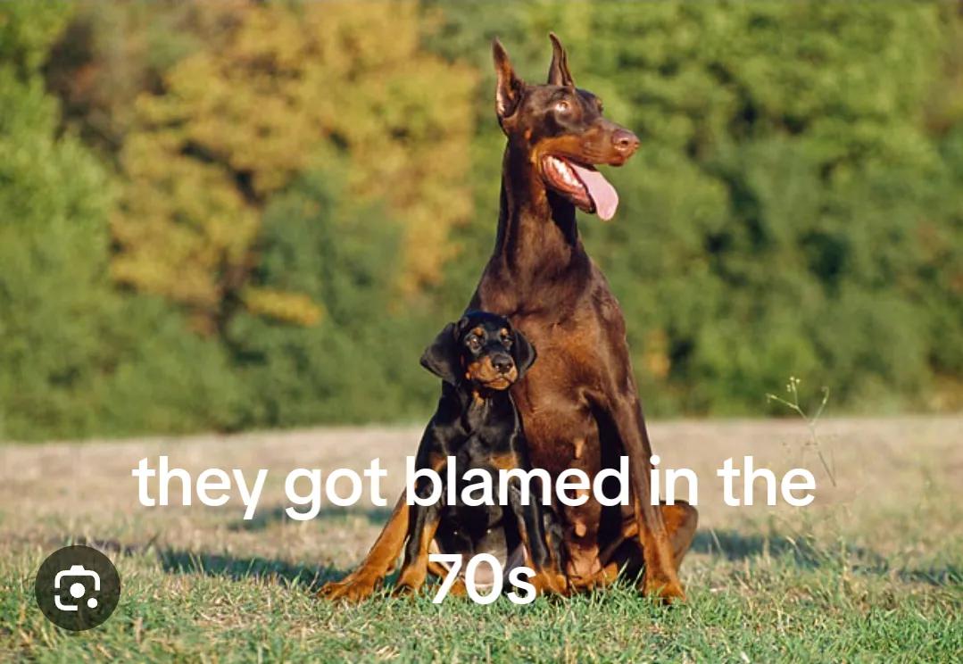 @SAVE THE XL BULLYS