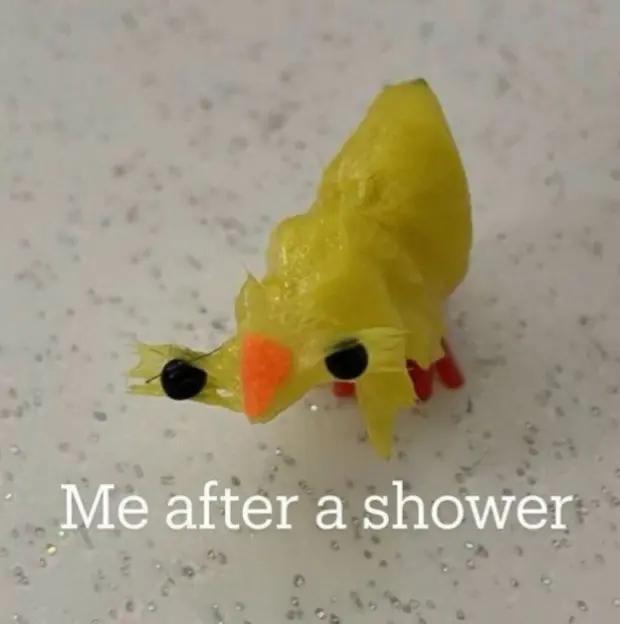 @Ducks