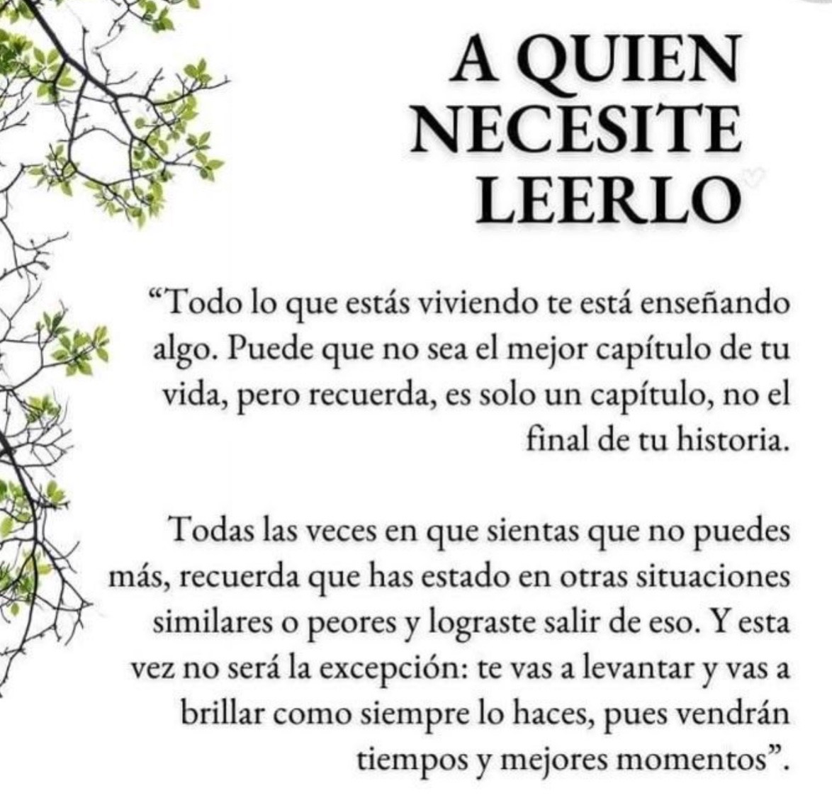 @Leticia Ortega