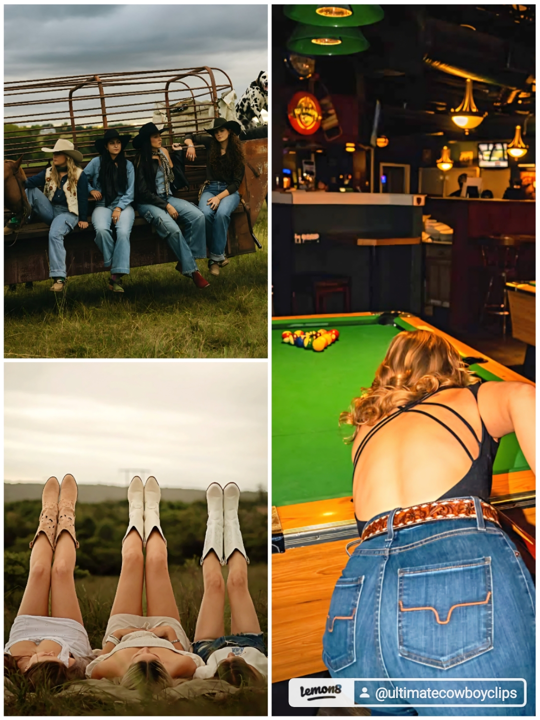 @Ultimate Cowboy Clips