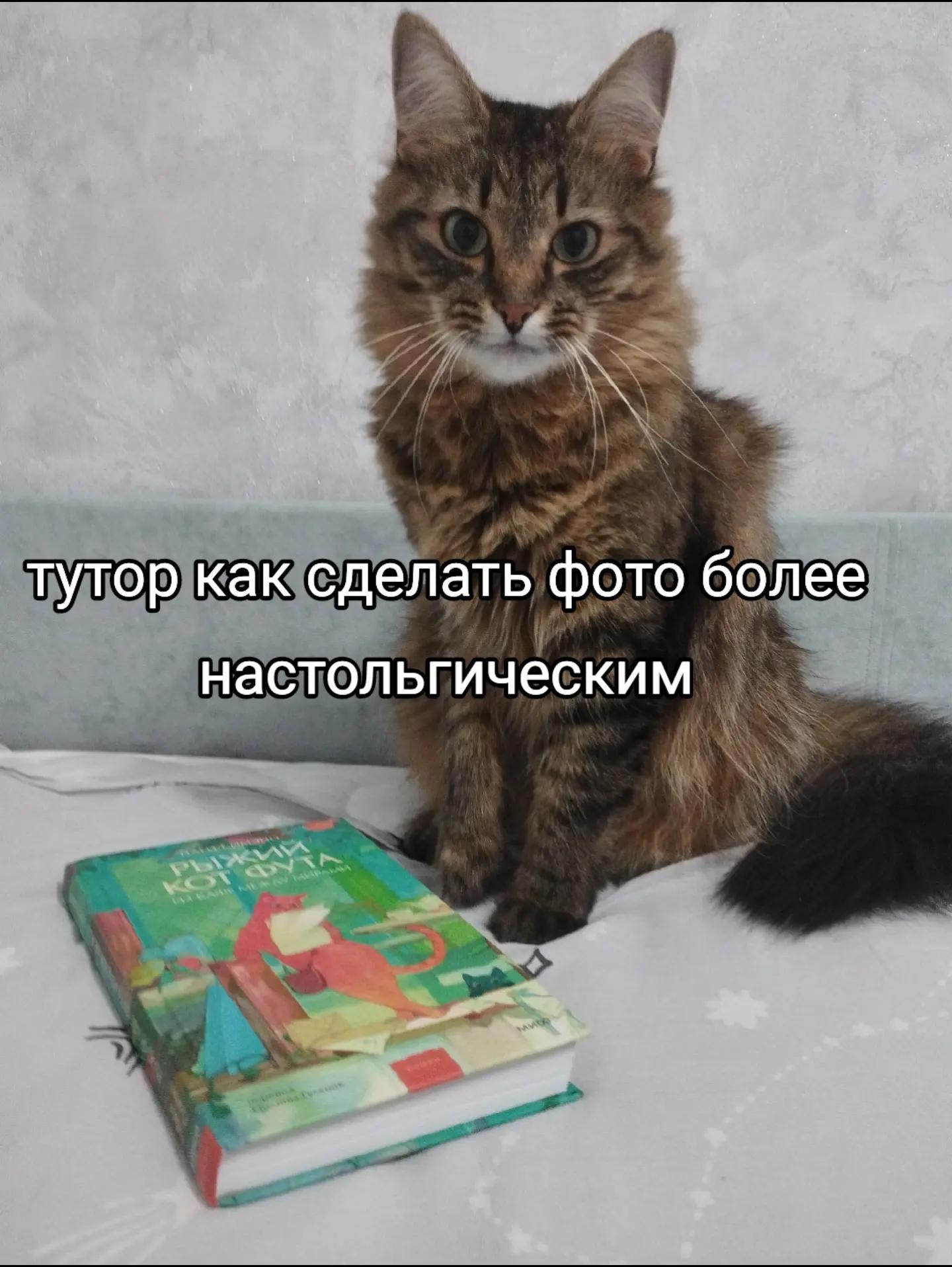 @Марсик😺💖