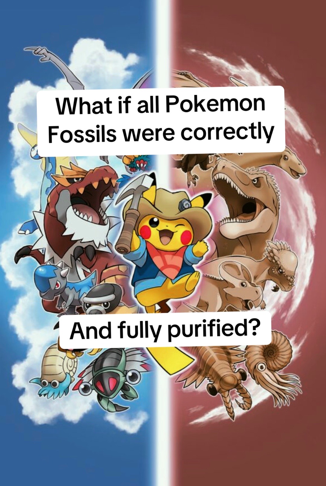@#1 Ampharos Glazer ⚡️