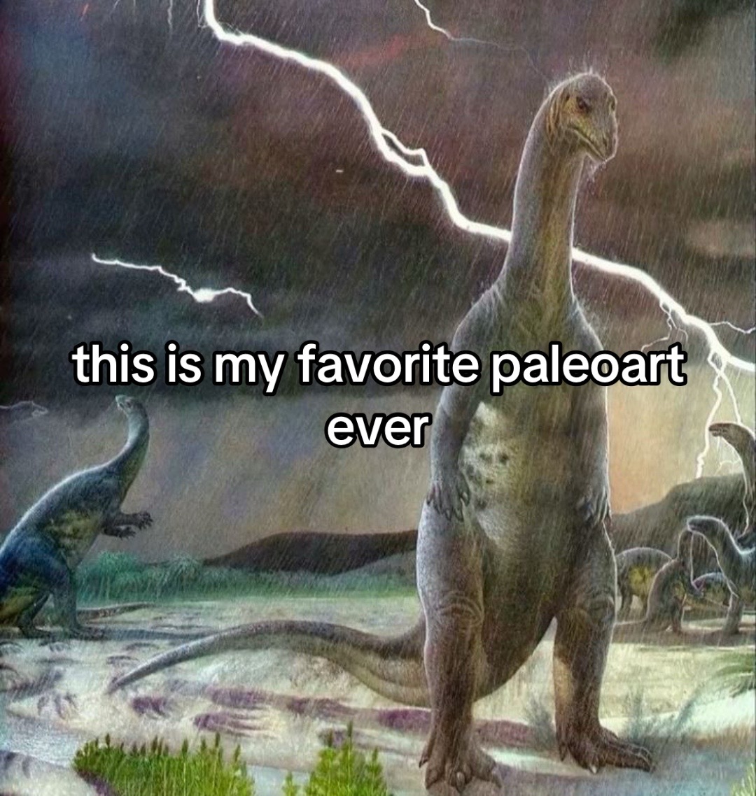 @Joey ⚛️
