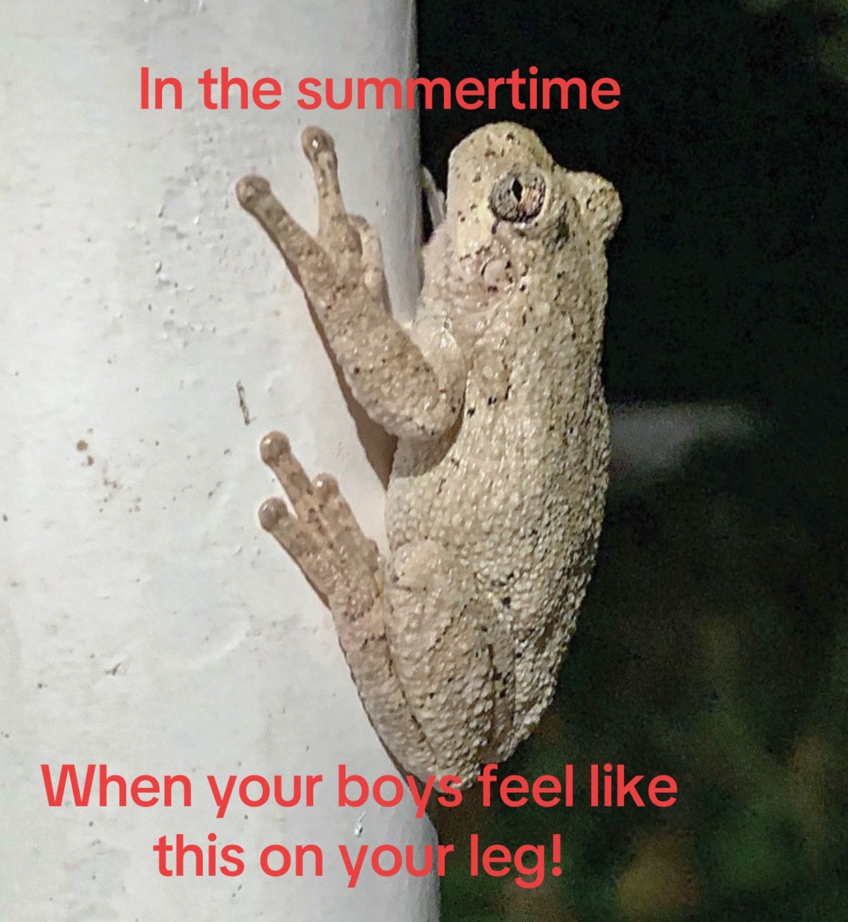 @Porchdawgy