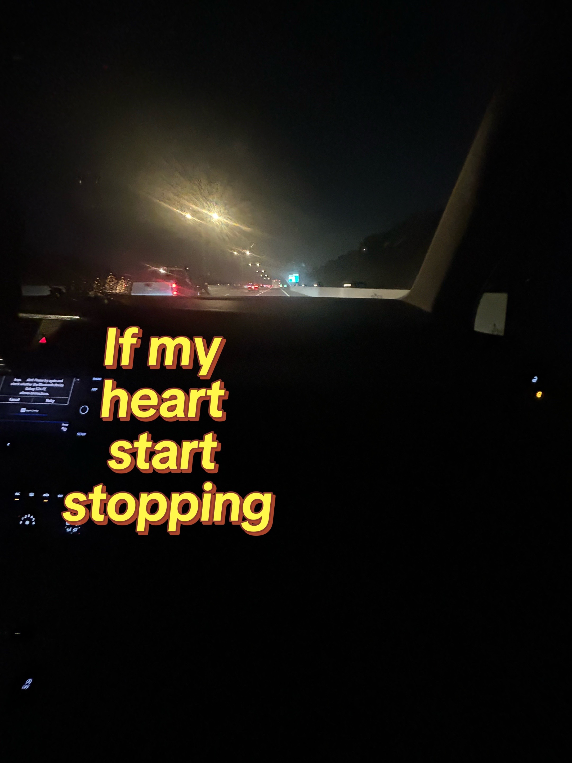 @≽^• ˕ • ྀི≼