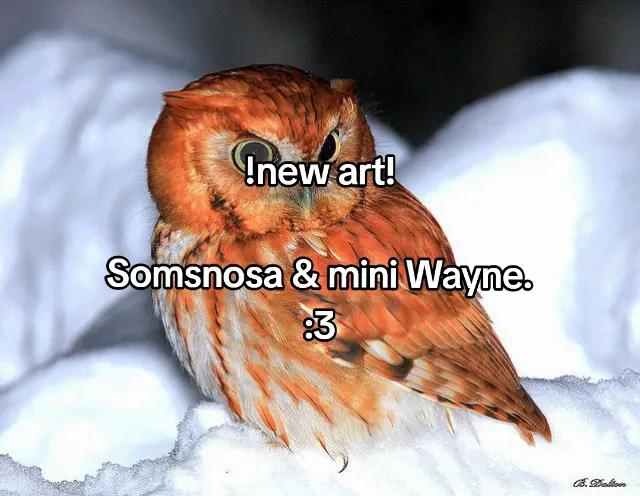 @mawoko