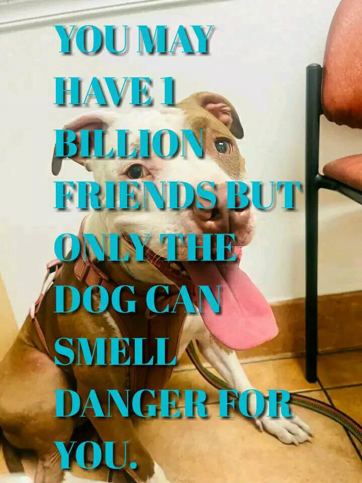 @VERONICA.T.H.E.PRINCESS