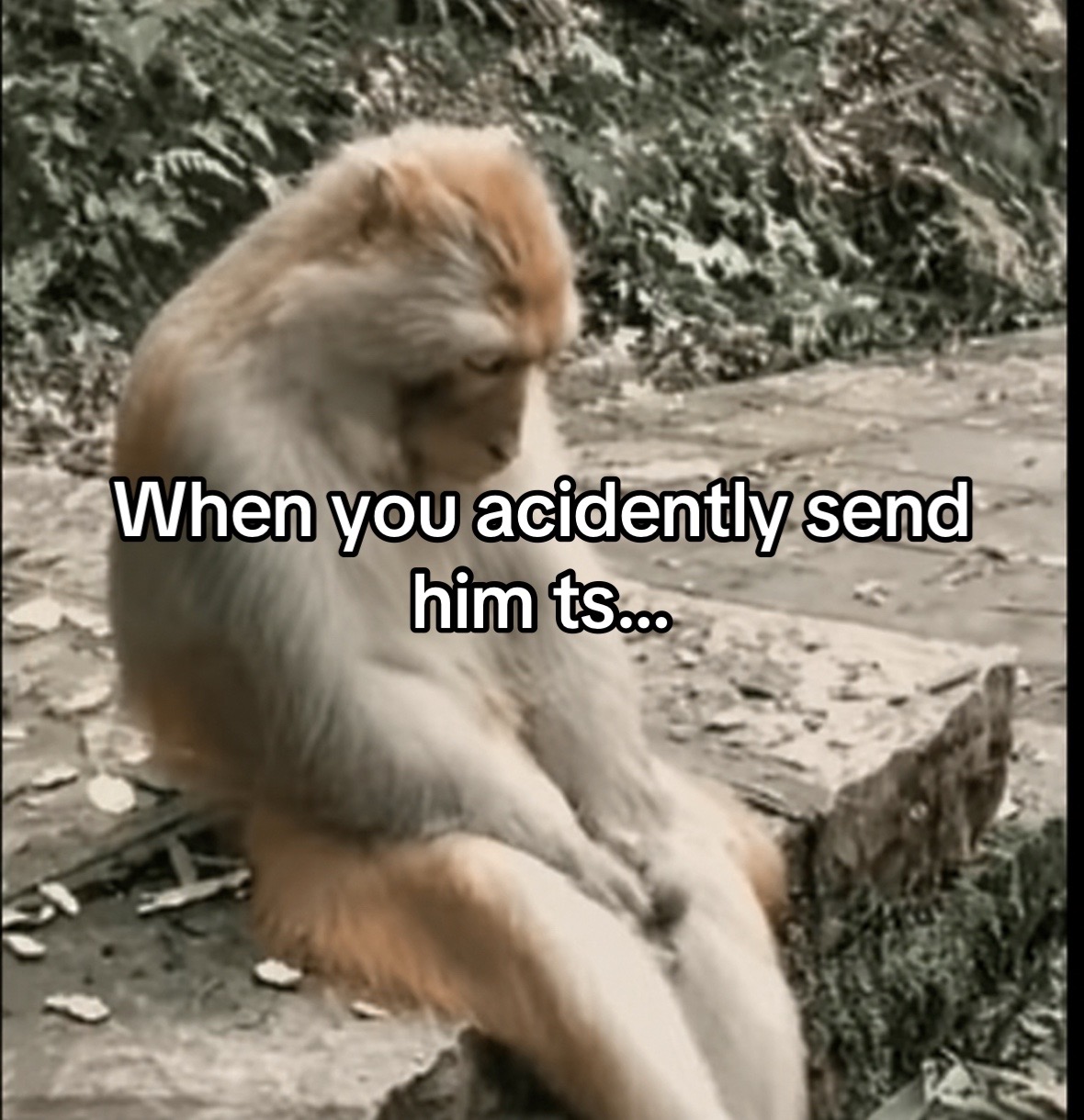 @Zekedeals