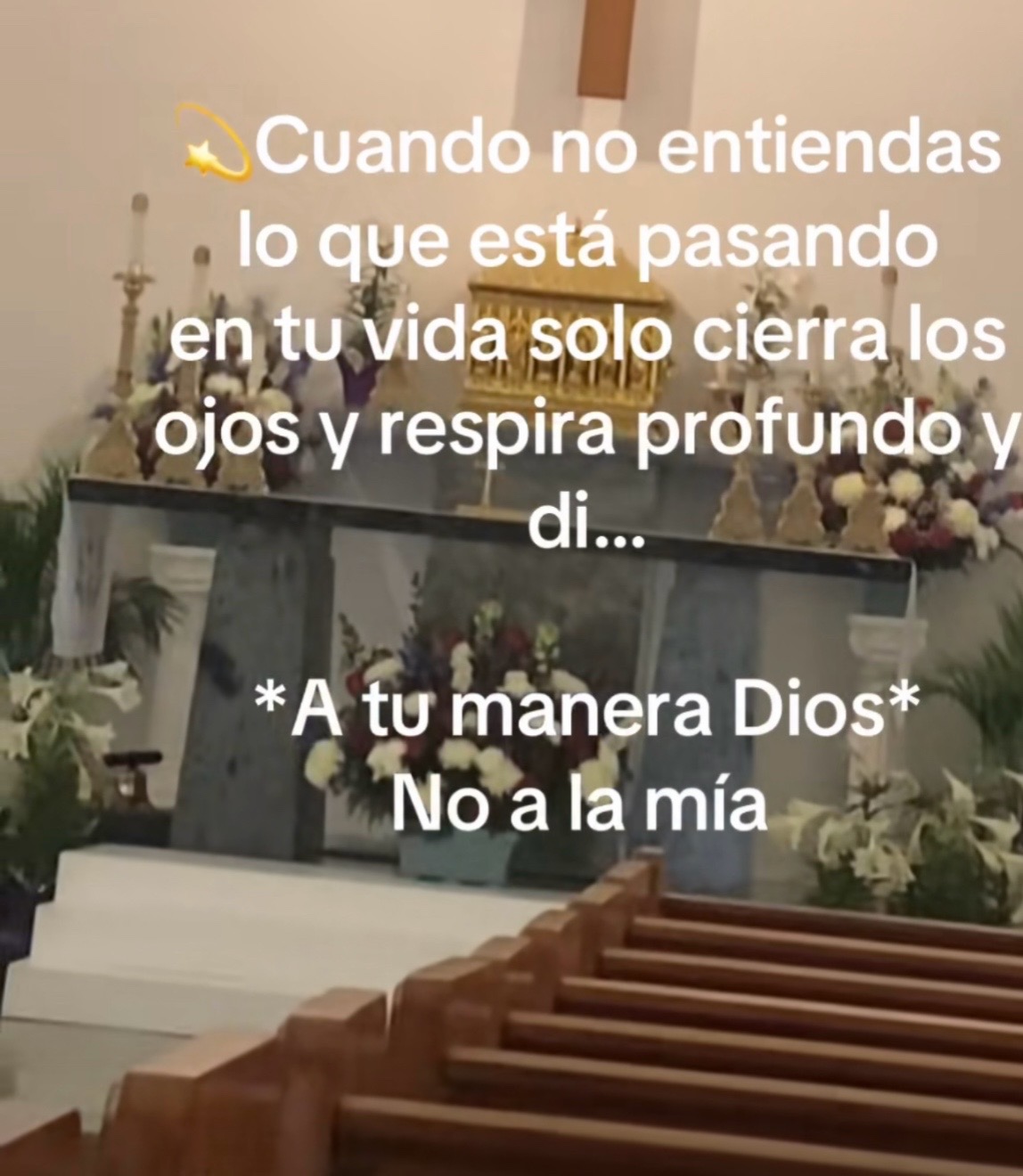 @Yizely