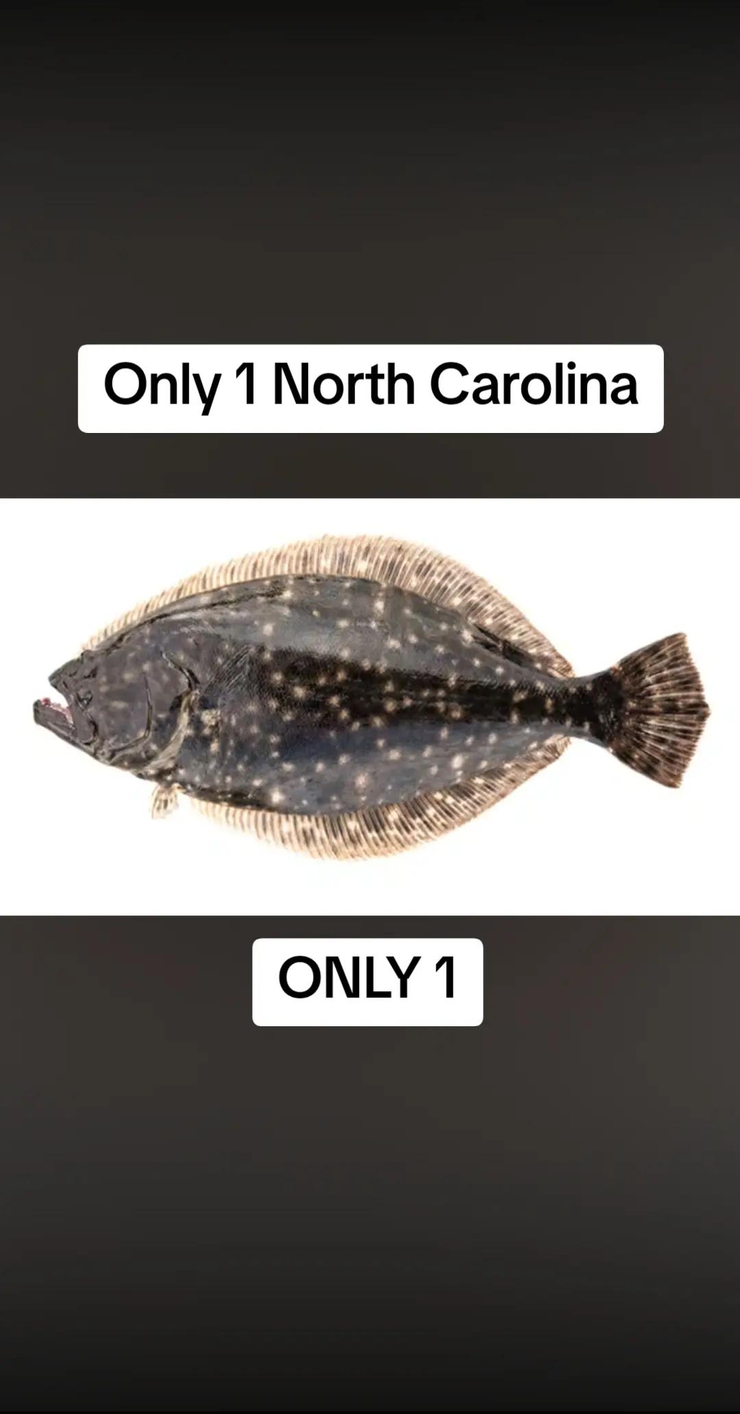 @B from NC