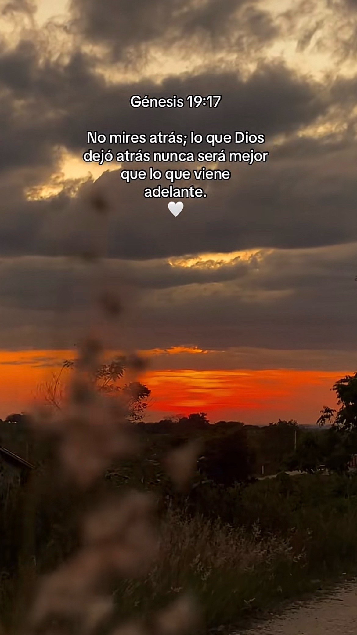@moisescruz1638