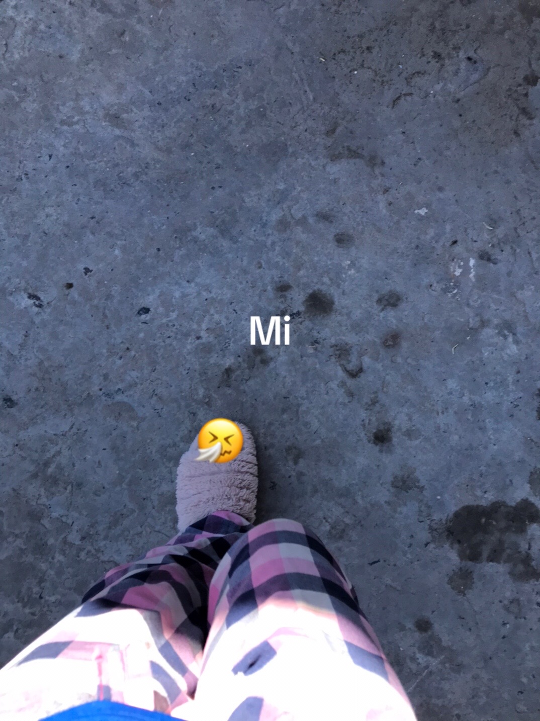 @janita