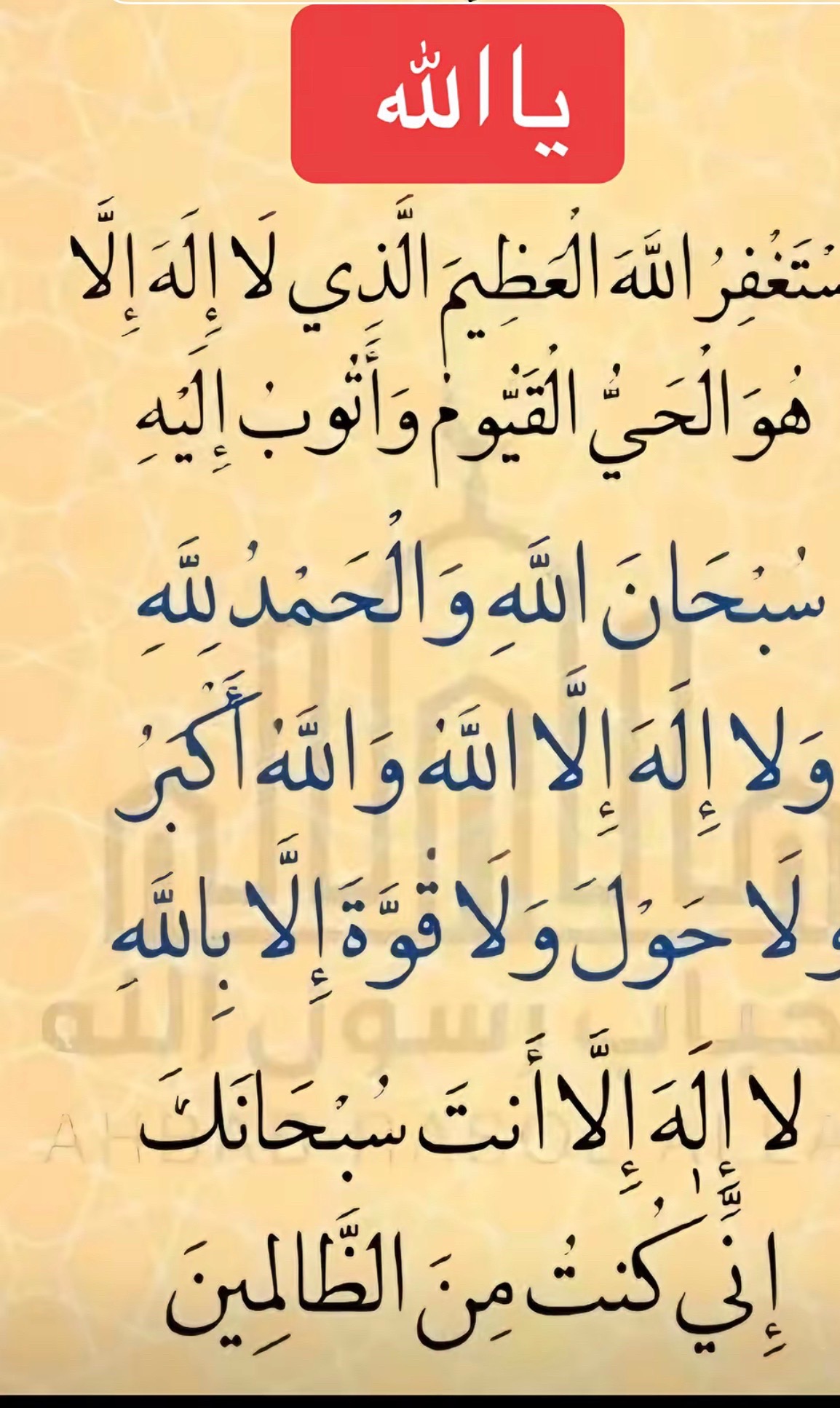 @asaljan0012