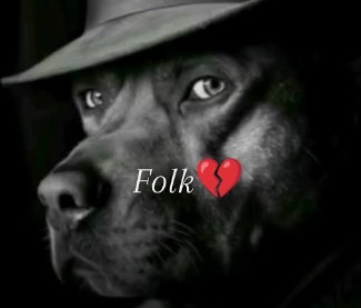 @MaxFlowJK &bull; Following