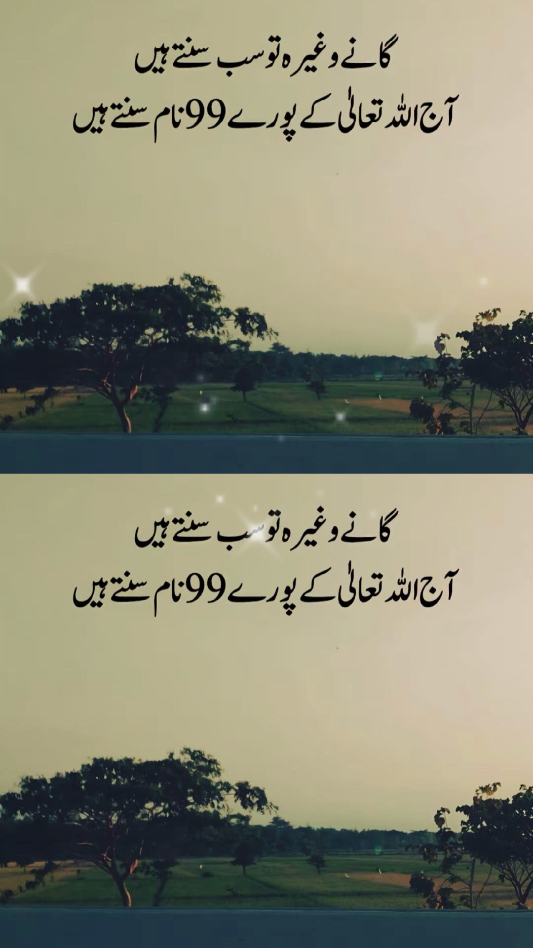 @Gulkhan🫶🏻