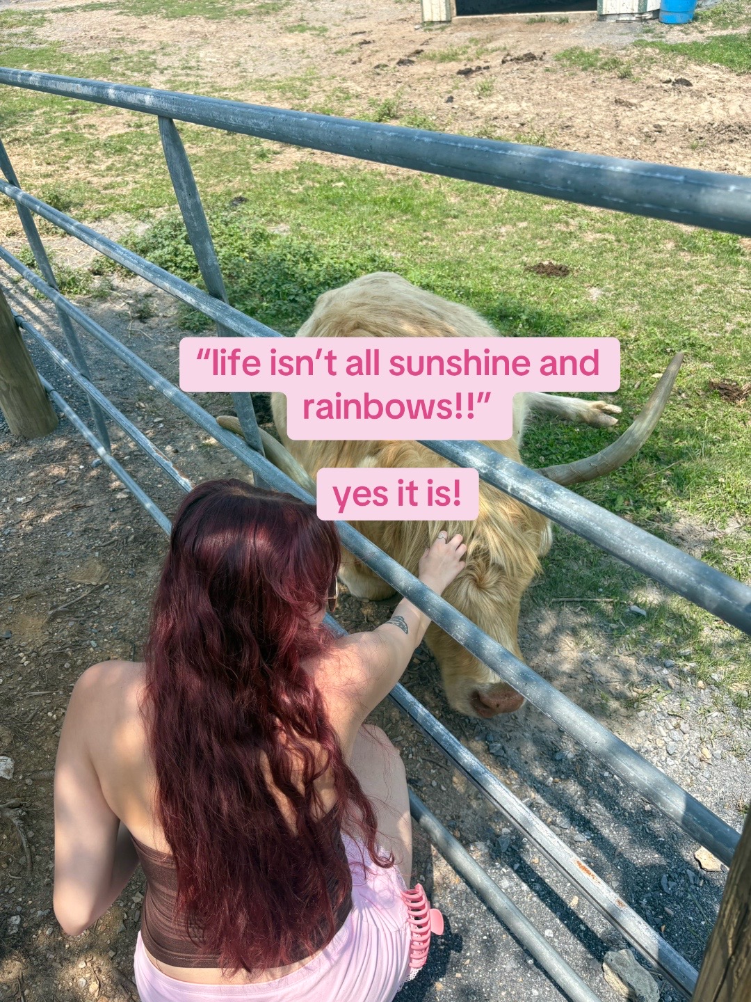 @katie