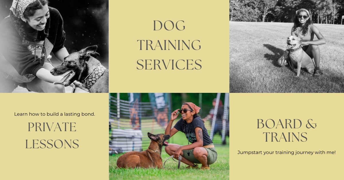 @dogstrainjen
