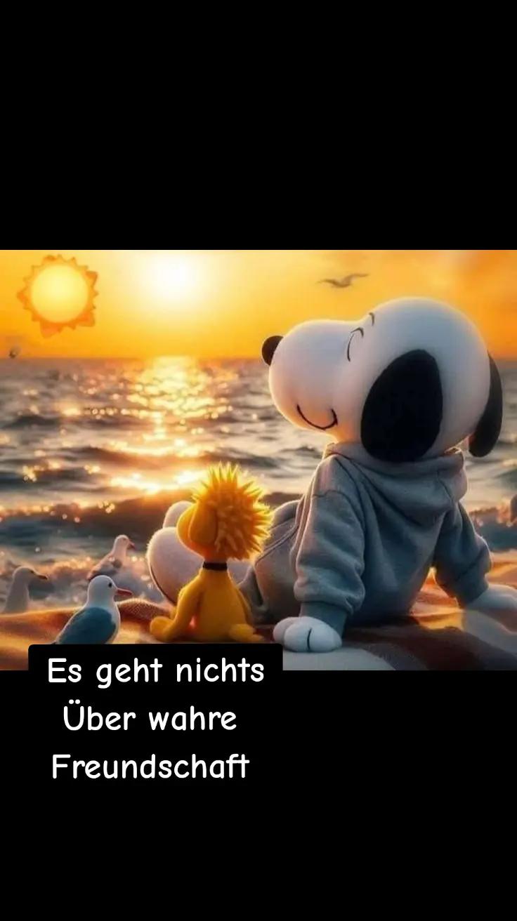 @Dieter