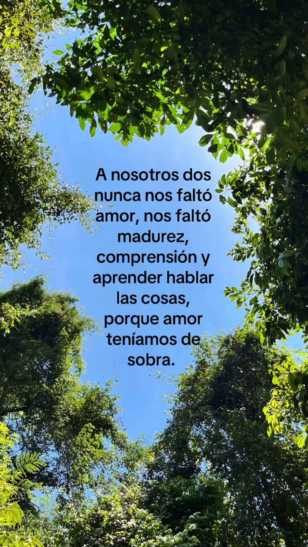 @Yulis C 🤍🕊️