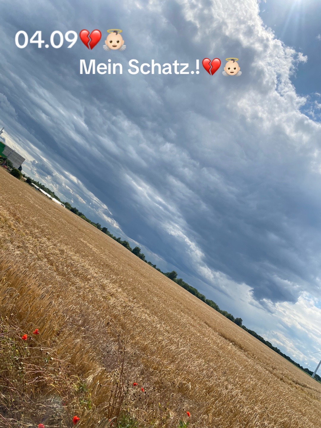 @Lydia🇩🇪🦅