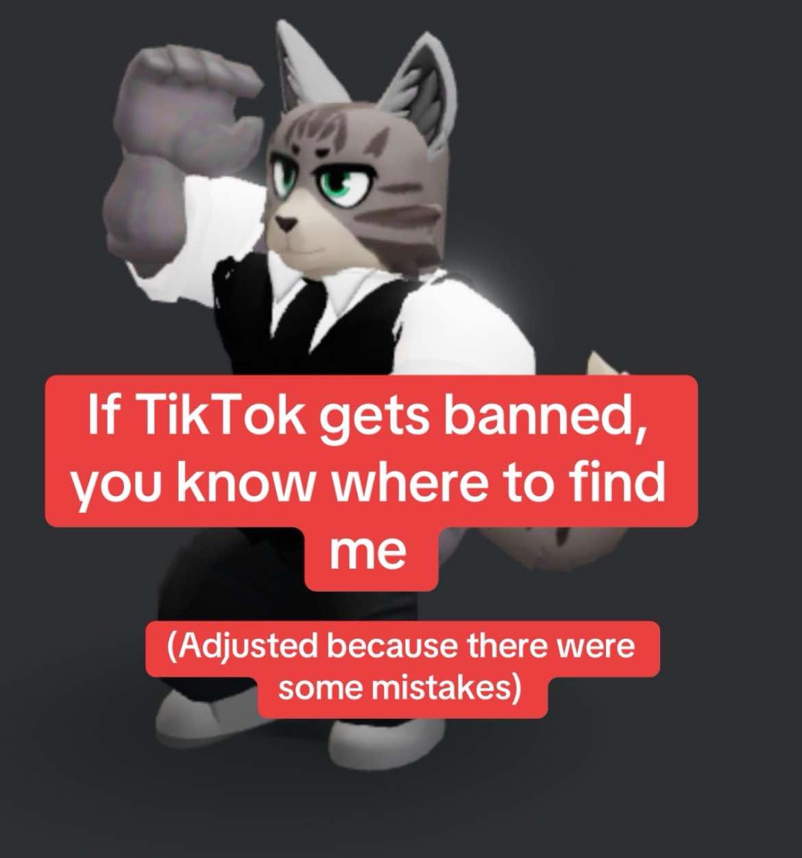@TheToonyCat (Read Bio)