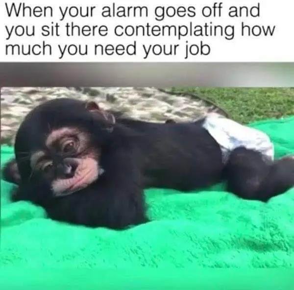 @Chef_Hunttho