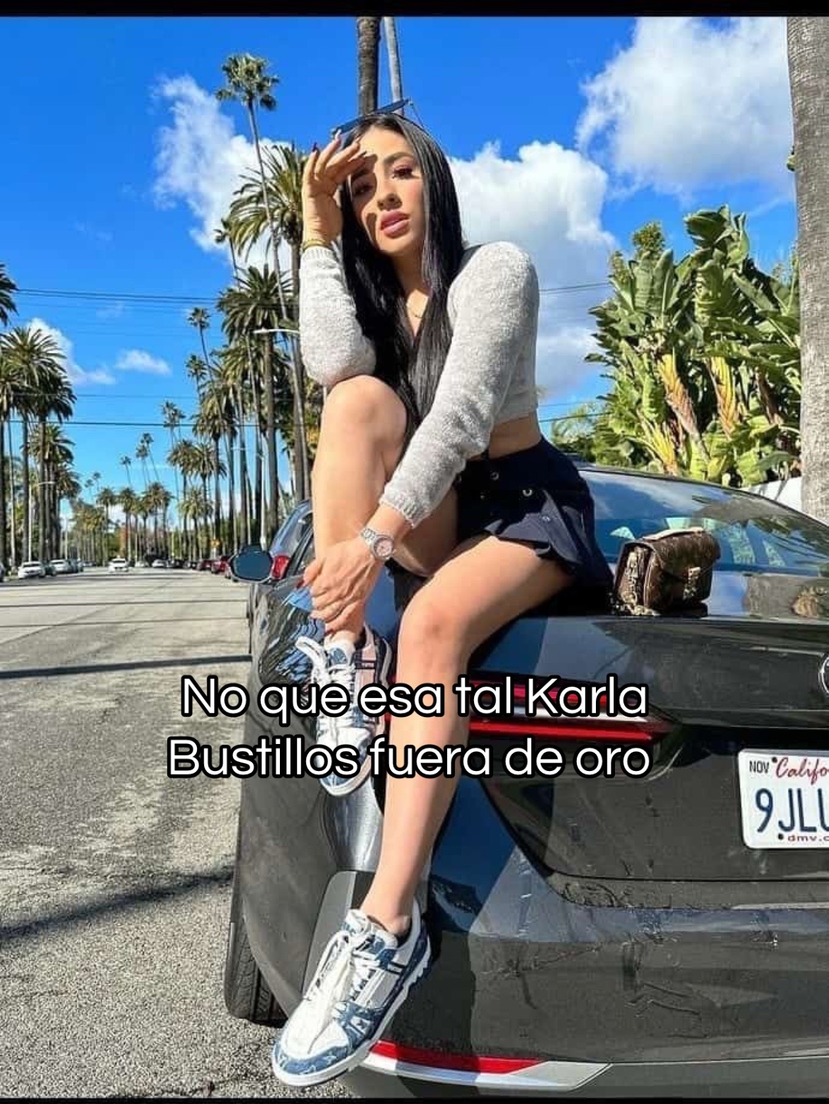 @katt2739