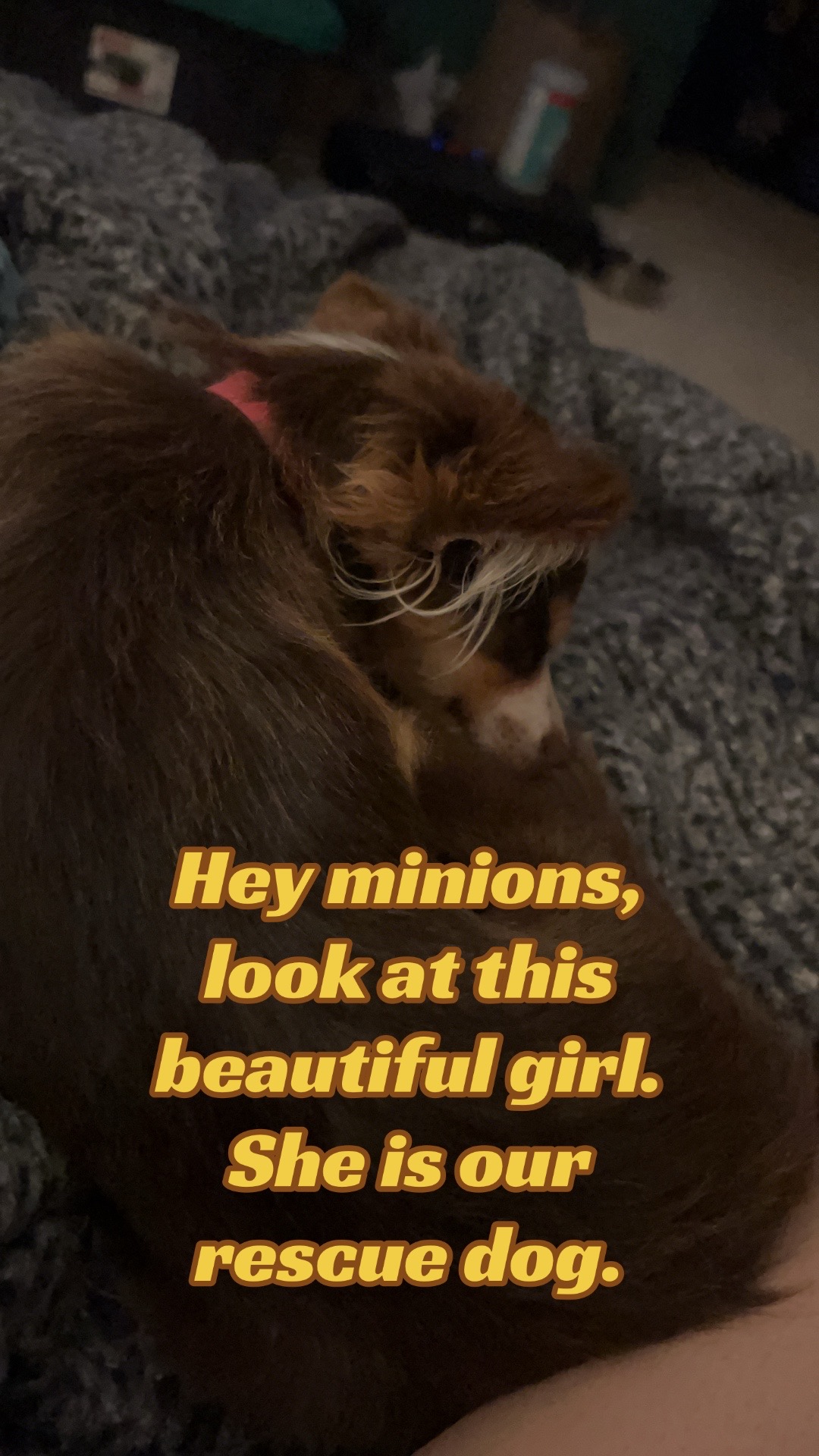 @Rachel Holloway